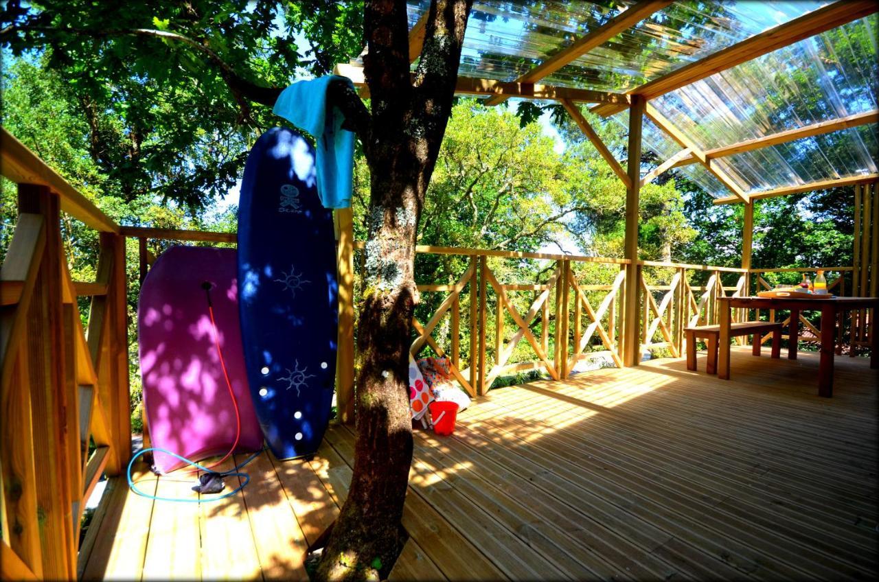 Village Nature Et Ocean A Cote De La Plage Avec Piscine Et Jacuzzi Messanges  Eksteriør bilde