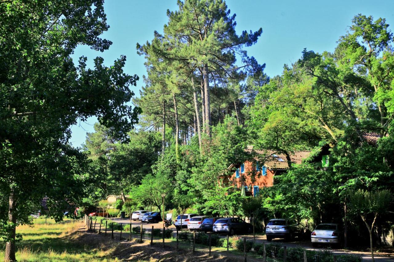 Village Nature Et Ocean A Cote De La Plage Avec Piscine Et Jacuzzi Messanges  Eksteriør bilde