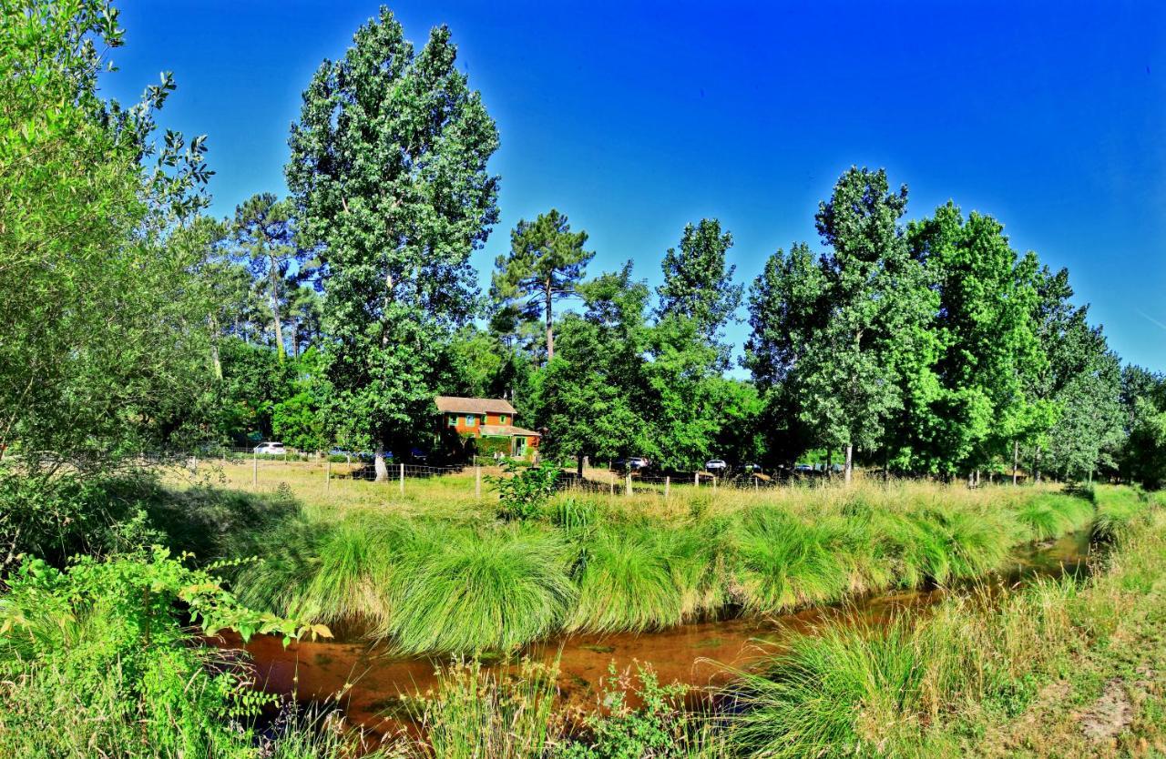 Village Nature Et Ocean A Cote De La Plage Avec Piscine Et Jacuzzi Messanges  Eksteriør bilde