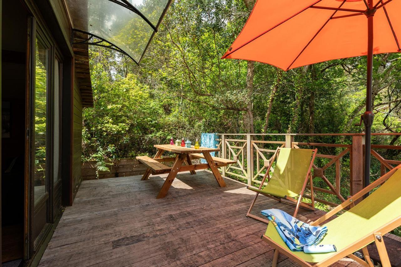 Village Nature Et Ocean A Cote De La Plage Avec Piscine Et Jacuzzi Messanges  Eksteriør bilde
